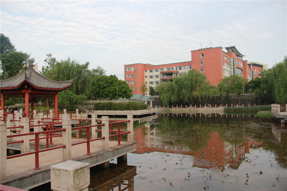 翠柳湖景