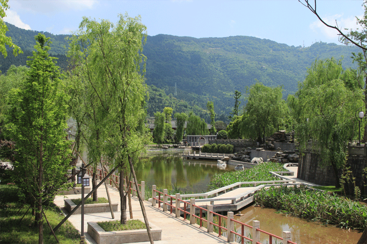 翠柳湖畔